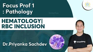 Hematology | RBC Inclusion | Focus Prof 1 : Pathology | Unacademy Future Doctors | Dr.Priyanka screenshot 5