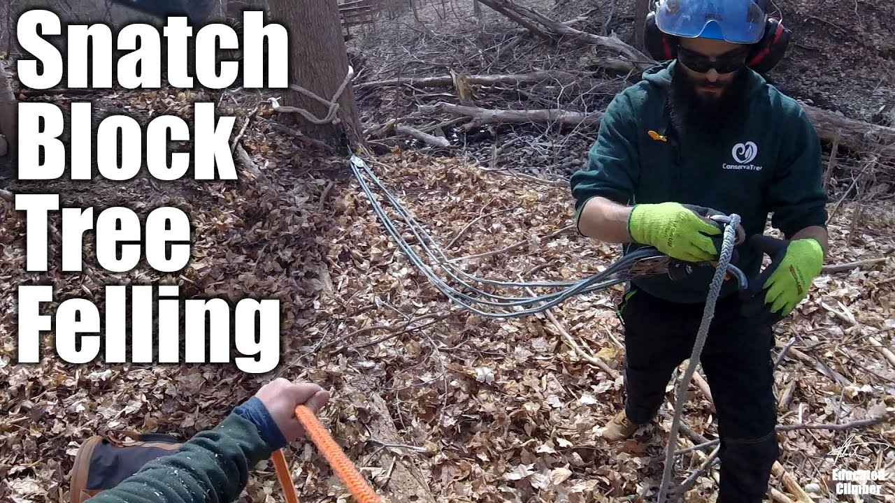 Snatch Block Tree Felling: Piggyback Mechanical Advantage 