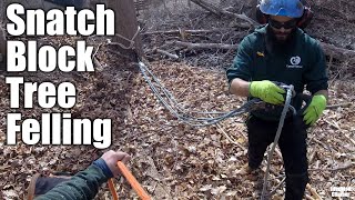 Snatch Block Tree Felling: Piggyback Mechanical Advantage