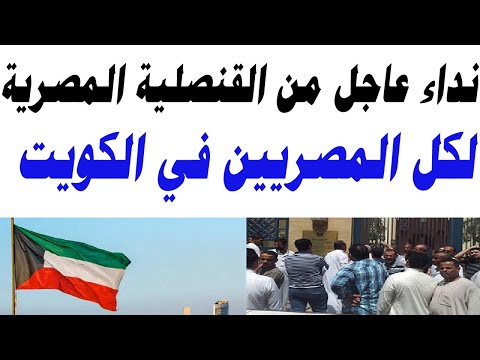 نداء عاجل من القنصلية المصرية لكل المصريين المقيمين في الكويت بسرعة