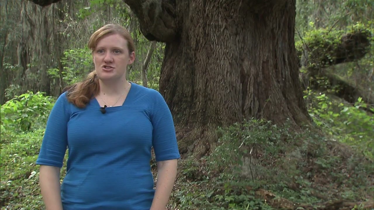 Highway 204 Project Pkg