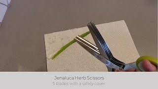 In Hand Review of Jenaluca Herb Scissors with 5 Blades and Cover