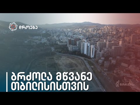 ბრძოლა მწვანე თბილისისთვის — სოფო ზედელაშვილის სიუჟეტი