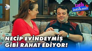 Necip, Melihanın Yokluğunda İyice Eve Yerleşiyor - Tatlı İntikam Özel 