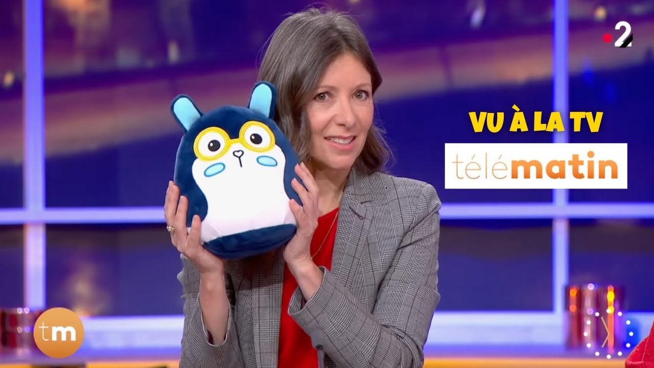 Lookiz : Ary chez Télématin sur France 2 - La peluche intelligente Lookiz