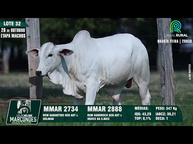 LOTE 32 MMAR 2734 2888