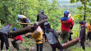 only trained personnel are able to do the teak wood cutting and loading location under the mountain