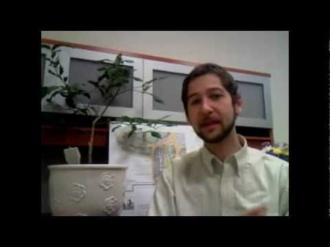 Ryan Harb - International Permaculture Day 2012