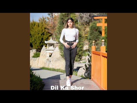 Dil Ka Shor 