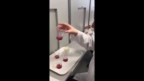 Paired Preference test Video