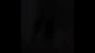 Movie thailand (porn)