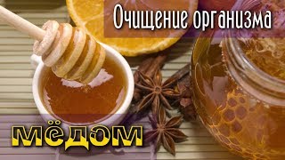 ОЧИЩЕНИЕ КИШЕЧНИКА И ПЕЧЕНИ МЁДОМ ОЧИЩЕНИЕ КИШЕЧНИКА И ПЕЧЕНИ МЁДОМ