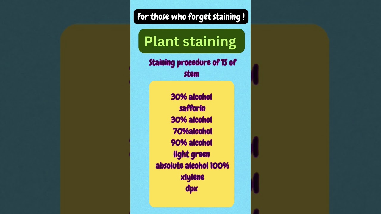 Quick Revision: staining procedure for ts of stem in plants 