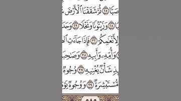 من آية رقم ٣٣ الى نهاية سورة عبس بصوت الشيخ ياسر الدوسري ❤️💝💕💖