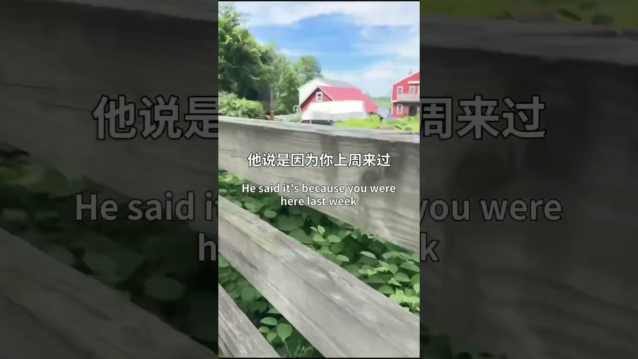 美国补胎 #免费 #自行车 #补胎 縮圖