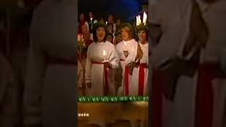 Happy St Lucia’s Day🕺🎄🕯️