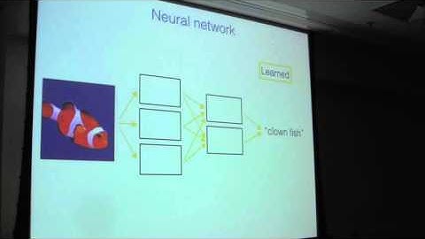 Learning in deep neural networks