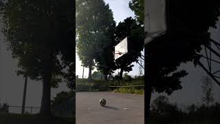 Guy Lands an Insane Curveball Trickshot From a Hill Into a Hoop