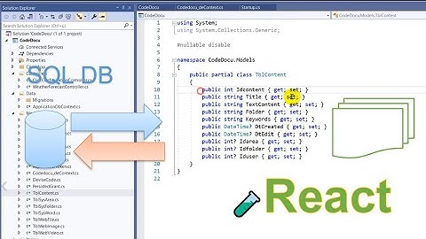 🧪 Connect SQL Database to React / Angular App in Asp.Net Core