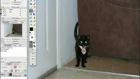 Photoline Tutorial: Saving & Exporting Projects