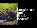 Longbows and black bears