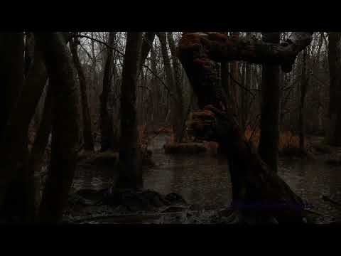 Gentle Rain in