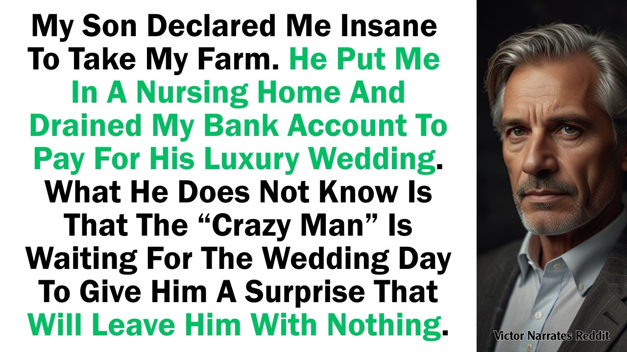 My Son Declared Me Insane To Take My Farm. He Put Me In A Nursing Home And Drained My Bank Account..