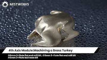 4th Axis Module:Machining a Brass Turkey #cnc #thanksgiving