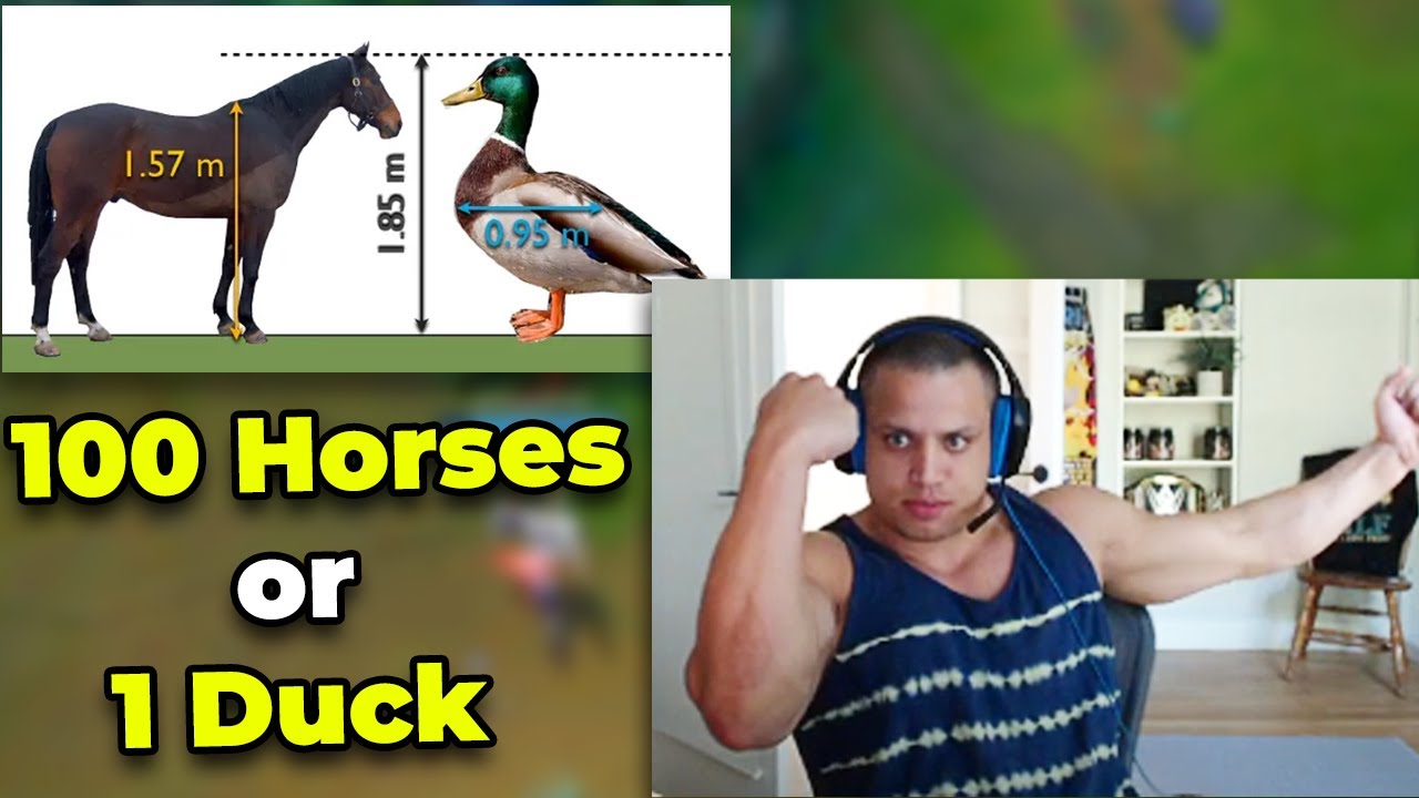 Tyler1 Fight a 100 Duck Sized Horses or 1 Horse Size Duck? YouTube
