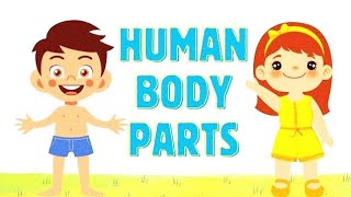Human Body Parts and it's Functions Part-2 | human body parts names with pictures in English