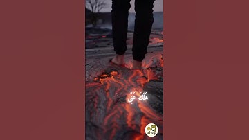 ياليتها كانت القاضية بصوت الشيخ ياسر الدوسري #قرآن #قران_كريم #ياسر_الدوسري #سورة_الحاقة #راحة_نفسية