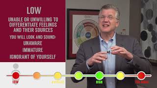 Emotional Intelligence EQ-i 2.0 exploring Emotional Self-Awareness
