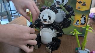 What You Need to Know Before Buying These Legos |   (Review)