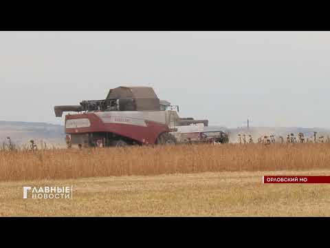 Орловщина принимает участие в Днях регионального развития на ВДНХ.