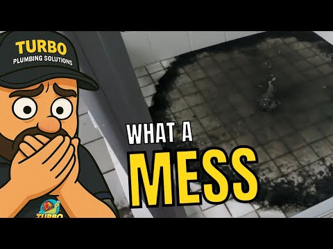 Blocked Drain 555 Next Level Drain Required #messy #blockeddrain