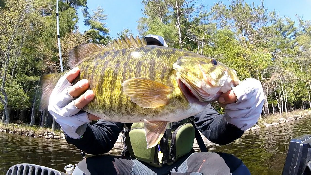 Upstate New York Spring Bass Fishing YouTube