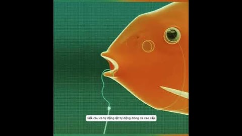 lưỡi câu cá tự động lật #luoicautudonglat #caucadinhcao #phukiencauca  #cancauchatluong #docau