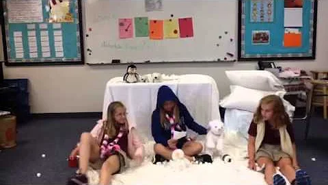 Periodo 3 - Ilana, Marisol, Rosa