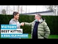 Story of victory best kittel a real one loft race pigeon