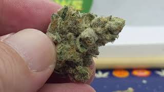 One and Done - Palomar Craft Cannabis Gelatti x Kushmints