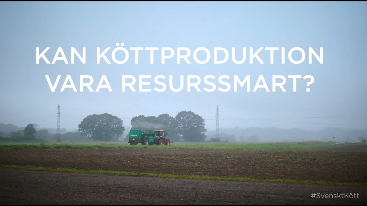 Hur mycket mark och resurser används för djuruppfödning?  Svenskt 