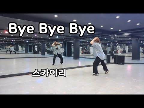 [B2D 비투디 심아영/쎄이쌤작품] 다이어트댄스 *스카이리SKYLE-Bye Bye Bye* 홈트댄스 다이어트 살빠지는춤 에어로빅 파워댄스 이지댄스 댄스로빅