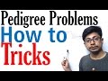 Mastering Pedigree Analysis In Genetics
