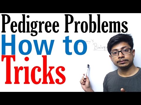 Video: How To Check Pedigree