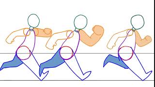 Generic Run Cycle