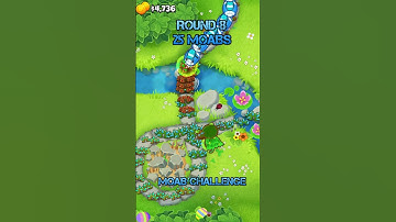 MOAB Challenge Round 8 - 2-5-0 Druid Monkey