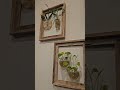 Plant Lover DIY 🌿 | Wall Propagation Jar Collection Reveal