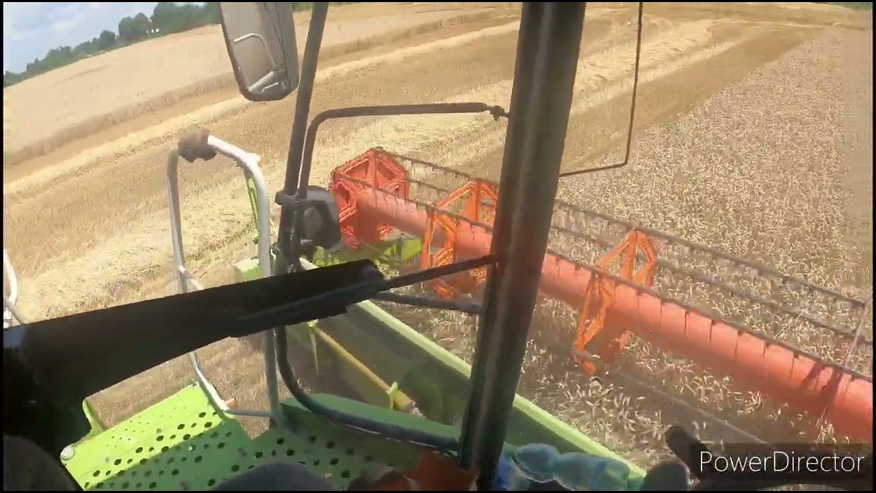 GoPro Cabview 5# | pohľad šoféra kombajnu Claas Lexion 580 | mlatba pšenice