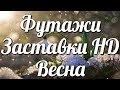 Футажи и заставки HD Весна🌺💦🎬