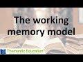 A brief summary of the working memory model - IB Psychology